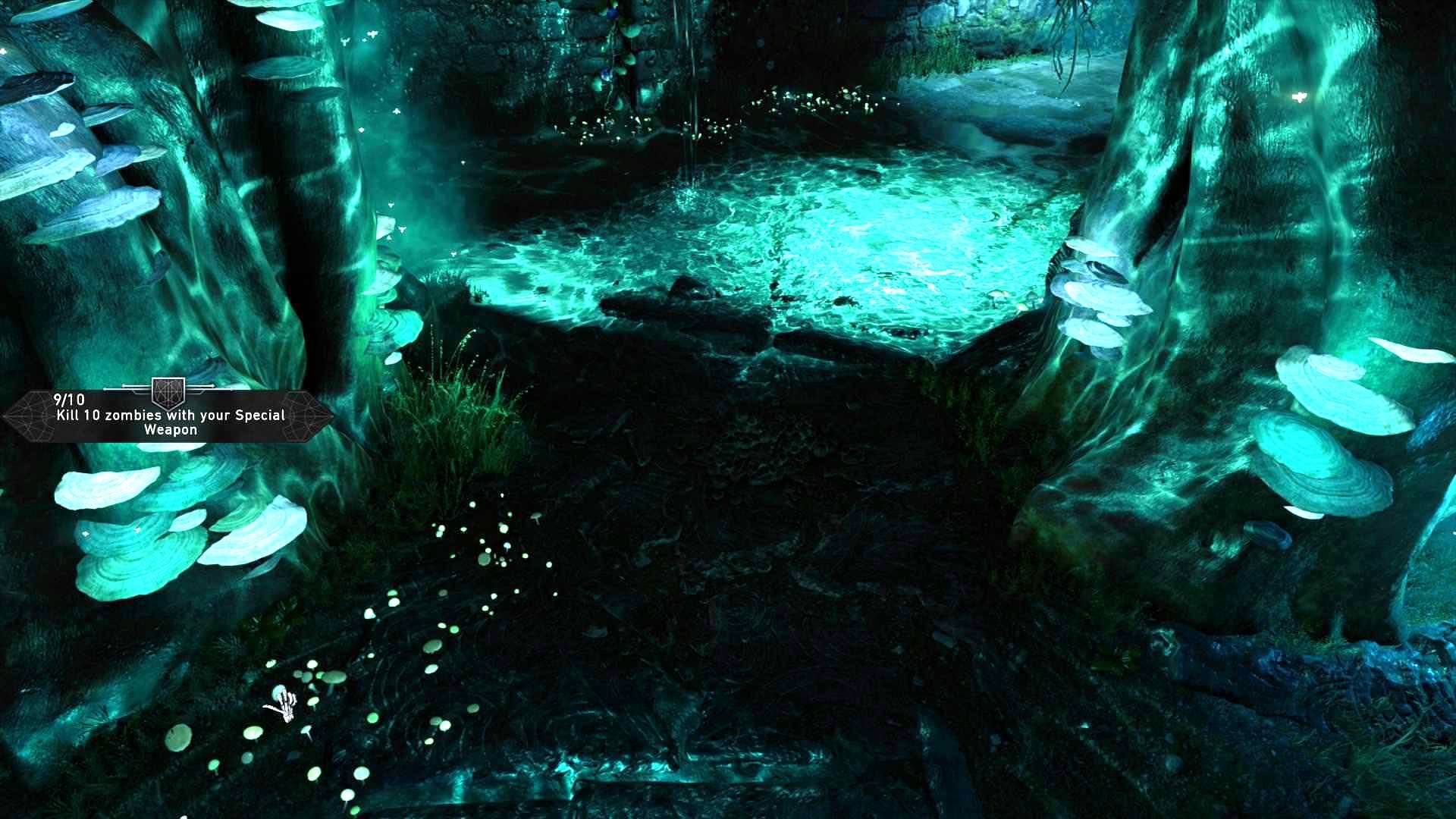 More information about "Fertilizer the Trees"