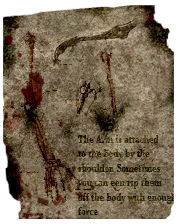 The Arm Is Attached Poster.png
