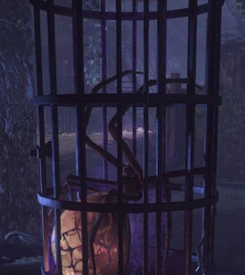 spidercage.jpg